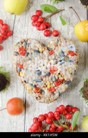 Heart shaped bird feeder made with wild berries, seed and melted fat, shaped in a cookie cutter, decorated with berries, crab apples and sunflowers Stock Photo