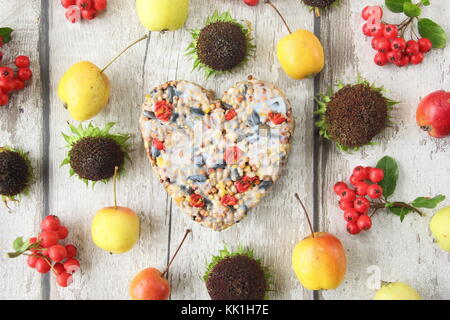 Heart shaped bird feeder made with wild berries, seed and melted fat, shaped in a cookie cutter, decorated with berries, crab apples and sunflowers Stock Photo