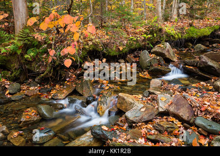 Cascade Brook in autumn, Dixville Notch State Park, New Hampshire Stock Photo