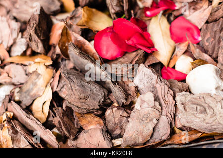 Landscape bark and hardwood chips are often used around flowerbeds, trees and shrubs as a mulch material. They add a decorative touch to landscape Stock Photo