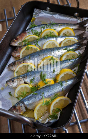 Fresh silver bodied sardines with lemon, dill and olive oil in black baking pan. Portrait format. Stock Photo