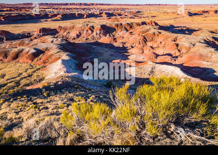 Painted dDesert in the Petrified Forest National Park, Arizona Stock Photo