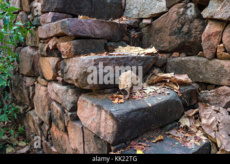 Stone stairs with dry fallen leaves on it Stock Photo