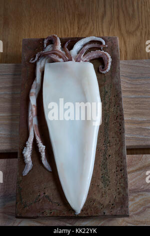 Squid on stone base cleaned and prepared for cooking. Portrait near vertical format. Stock Photo