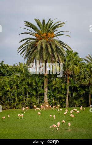 group of flamingos on meadow with palm tree background - Stock Photo