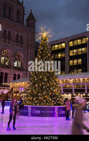 Natural History Museum, London, UK. 28th Nov, 2017. Skaters brave a cold evening to enjoy festive outdoor ice skating at the Natural History Museum in South Kensington under fairy lights. Credit: Malcolm Park/Alamy Live News. Stock Photo