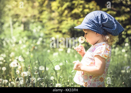 Cute baby girl blowing dandelion in summer park among tall grass  in summer sunny day with sunlight Stock Photo