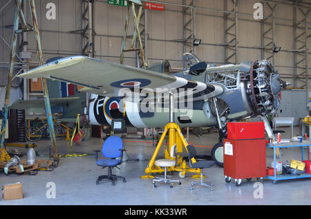 Grumman Wildcat FM2, built by General Motors, in Royal Navy Fleet Air Arm markings, undergoing maintenance by The Fighter Collection, Duxford, UK. Stock Photo