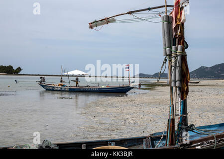 Old woman collecting mussels in the sea near an old fishing boat