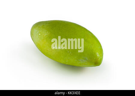 Fresh green mango on isolated background in vietnam asia Stock Photo