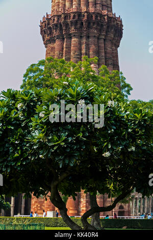 The QUTB MINAR tower is part of a UNESCO site and was constructed in the 12th century - QUTB COPLEX, NEW DELHI, INDIA Stock Photo