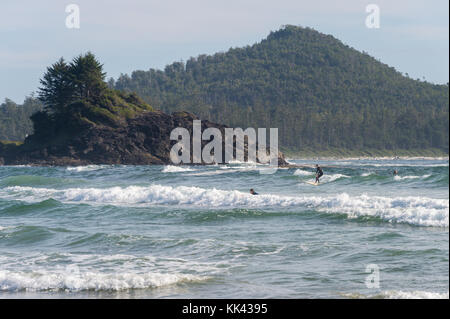 Surfers on Chesterman beach near Tofino, BC, Canada (September 2017) Stock Photo