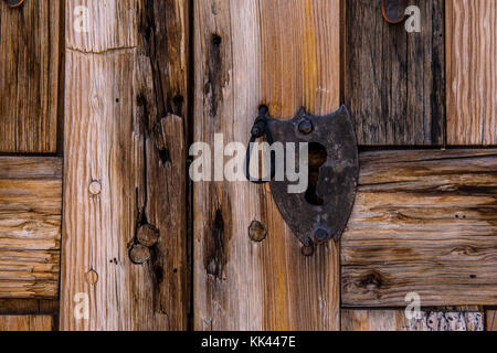 An Elf Owl in the Desert Southwest USA Stock Photo