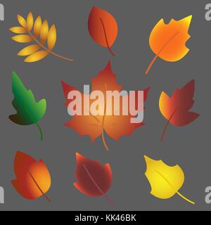 Set of different autumn leaves Stock Vector
