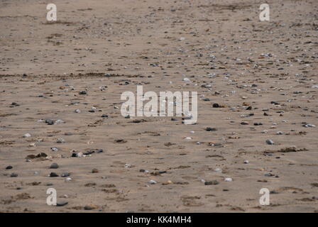 Rocks on a beach's sand Stock Photo