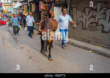 DELHI, INDIA - SEPTEMBER 25 2017: Unidentified people walking at outdoors next to a stores in a dirty streets with a cow walking around in Paharganj, Delhi. Delhi is the 2nd most populous city in India after Mumbai Stock Photo