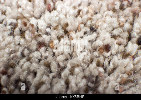 close up of beige and brown flecked shag carpet Stock Photo