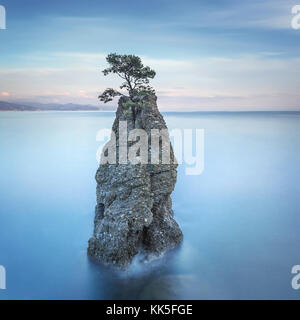 Portofino natural regional park. Lonely pine tree rock and coastal cliff beach. Long exposure photography. Liguria, Italy Stock Photo