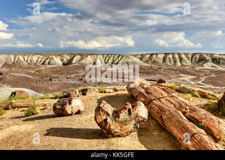 The Crystal Forest in the Petrified Forest National Park in Arizona. Stock Photo