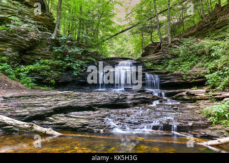 Waterfall in Ricketts Glen State Park, Pennsylvania. Stock Photo