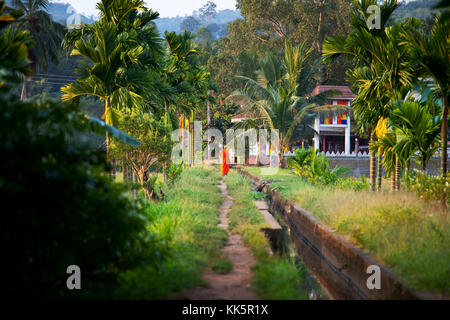 Gate in Hindu temple, Sri Lanka. Stock Photo