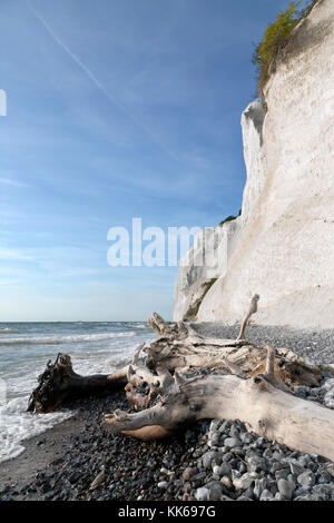 Møns Klint, the steep chalk cliffs up to 120 m above sea on the eastern Baltic Sea coast of the island Møn southeast of Sealand, Denmark, Møn or Moen. Stock Photo