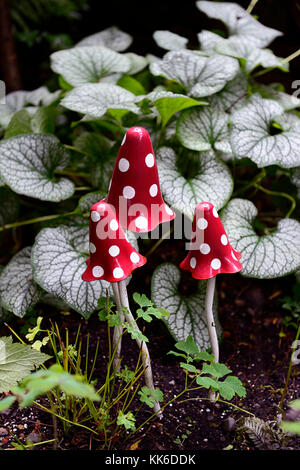 red toadstools, brunnera,fairy garden, fairy, fairies, garden, feature, whimsy, whimsical, magic, magical, childrens garden, child, play, playground,  Stock Photo