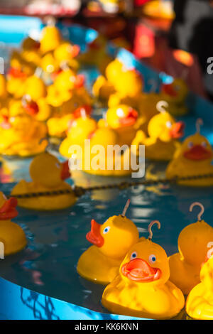 Rubber ducks at Hook a duck fairground attraction. Stock Photo