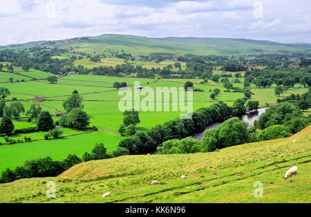 Typical Pennine farming landscape looking SW over valley of the River Tees near Middleton-in-Teesdale, County Durham, England Stock Photo