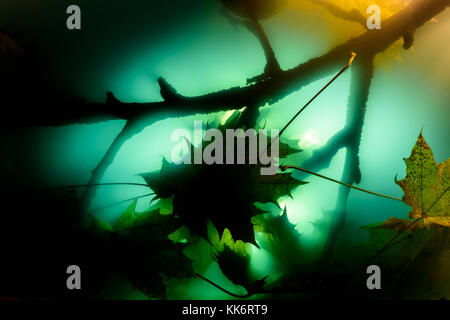 Toxic Water with Color Chemistry Material. Underwater Pollution. Stock Photo