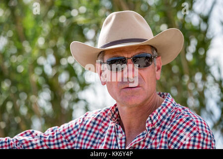 A French Guardian/Gardian on horse, The Camargue, France Stock Photo