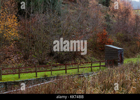 Colourful Foliage at North End of Ridgegate Reservoir in Macclesfield Forest Stock Photo