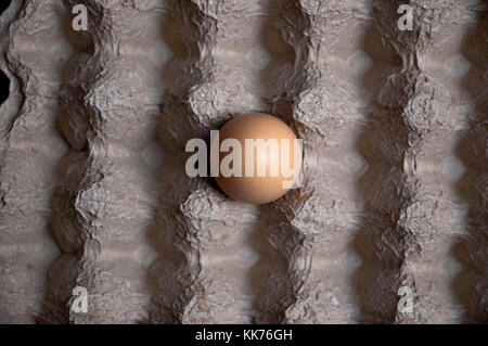 A single egg placed in the center of an empty cardboard egg carton Stock Photo