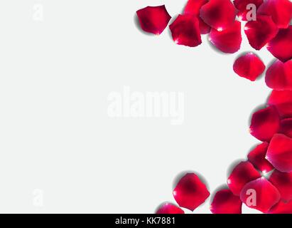 Abstract Natural Rose Petals o Background Realistic Vector Illustration Stock Vector
