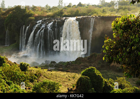 Blue Nile Falls (Tis Abay), Amhara Region, Ethiopia Stock Photo