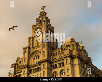 Royal Liver Building, Liverpool, England, UK Stock Photo