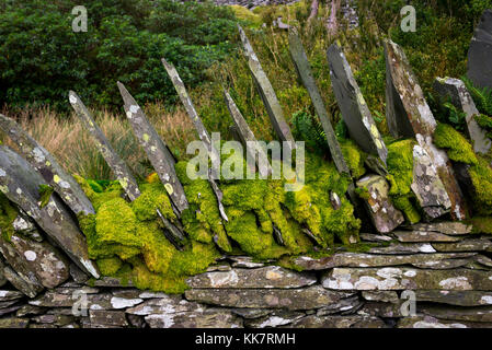 Old stone wall with green mosses at Cwmorthin quarry, North Wales. Stock Photo