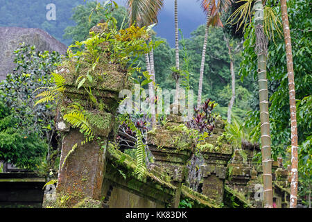 Jungle vegetation overtaking Pura Luhur Batukaru, Hindu temple in Tabanan on southern slope of Mount Batukaru, volcano on the island Bali, Indonesia Stock Photo