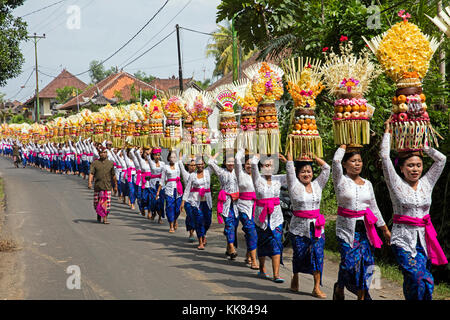 Procession of traditionally dressed women carrying temple offerings / gebogans on their head near Ubud, Gianyar regency on the island Bali, Indonesia Stock Photo