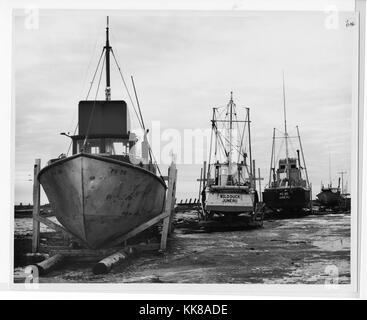 A photograph showing a line of boats that have been dry-docked following the 1965 Alaska Earthquake, the boats sit in an area covered in wet mud that is now far from the water's edge, the earthquake created a tsunami that caused a lot of damage in the surrounding area, the 92 magnitude earthquake originated in Prince William Sound and is the second largest earthquake ever recorded, Homer, Alaska, 1964. Stock Photo