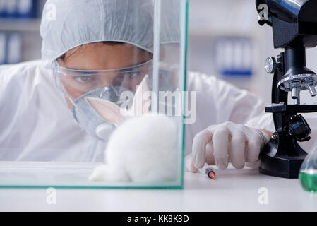 Scientist doing animal experiment in lab with rabbit Stock Photo