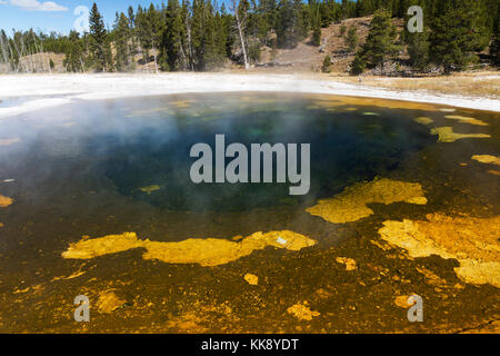 Beauty Pool Thermal Feature in the Upper Geyser Basin, Yellowstone National Park Stock Photo