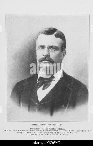 Black and white photograph, portrait, of Theodore Roosevelt, 26th President of the United States, 1902. From the New York Public Library. Stock Photo