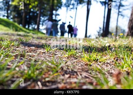 A group of friends leaving a park after a day off. Stock Photo