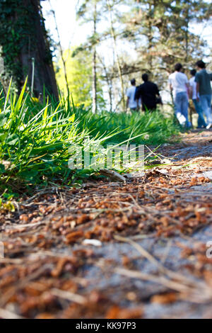 A group of friends leaving a park after a day off. Stock Photo