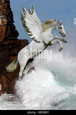 wings 3d hiding the autouv background image wings 3d hiding the autouv background image