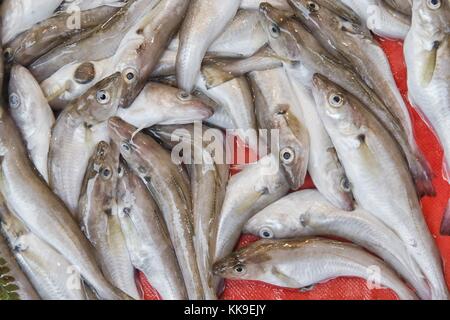 Fresh fish and seafood arrangement displayed on the market Stock Photo