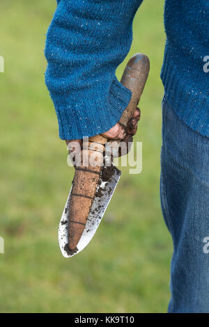 Gardeners hand holding a wooden dibber and a metal hand trowel after planting bulb tulip in late autumn. UK