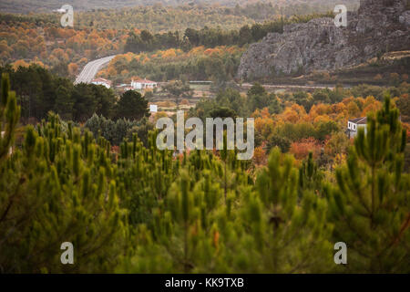 Beautiful autumnal landscape in Extremadura seen from a huge and green pine forest near Valencia de Alcántara and the border with Portugal. Stock Photo