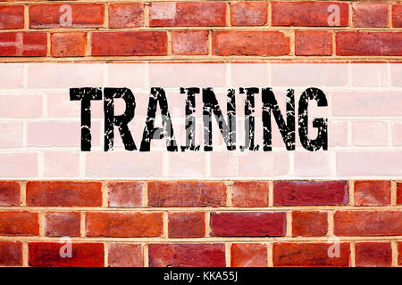 Conceptual announcement text caption inspiration showing Training. Business concept for Education Text knowledge study written on old brick background Stock Photo